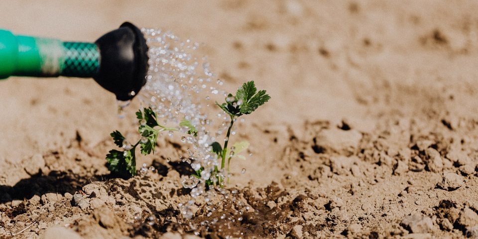 Ressources en eau agriculture