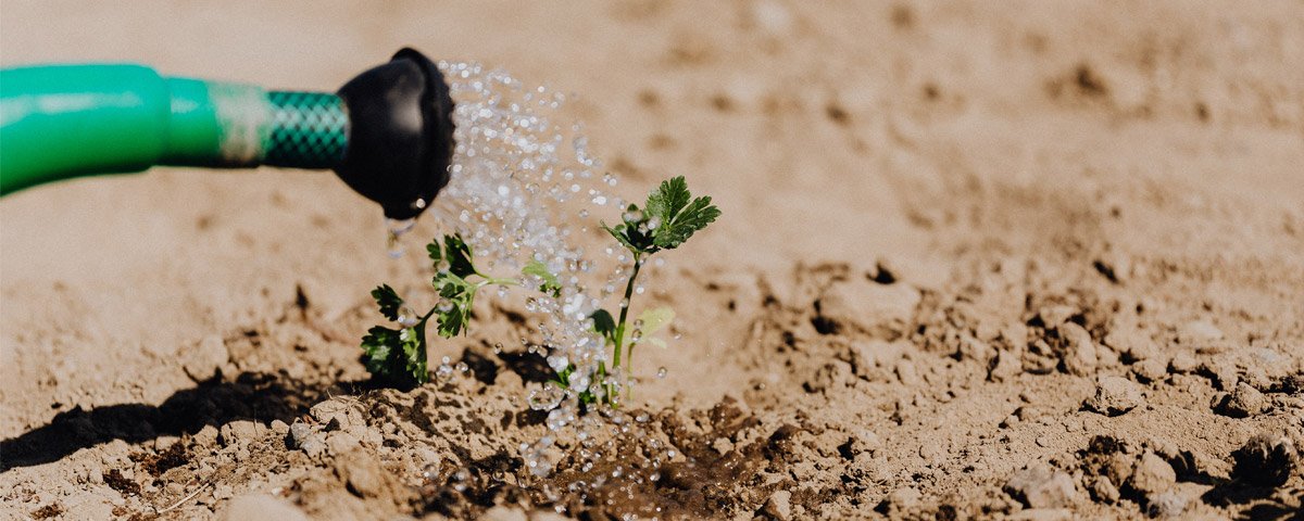 Recursos hídricos agricultura