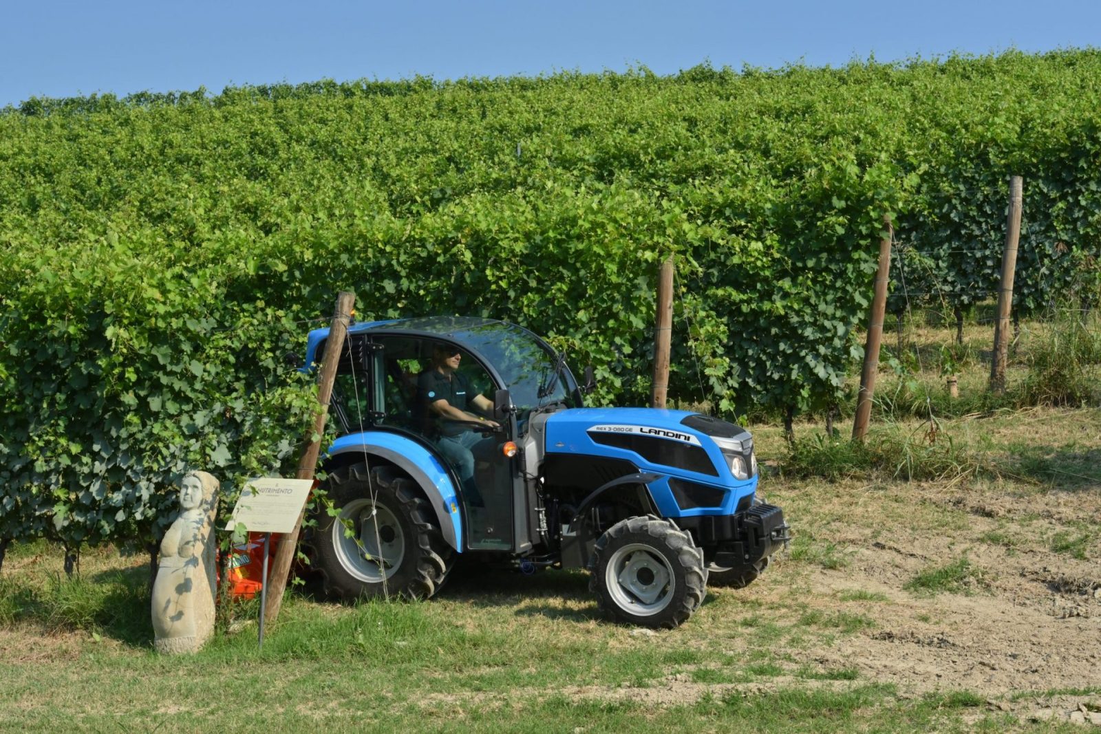 Niebieski traktor Landini REX3 stoi w rządku między pnączami winogron. 