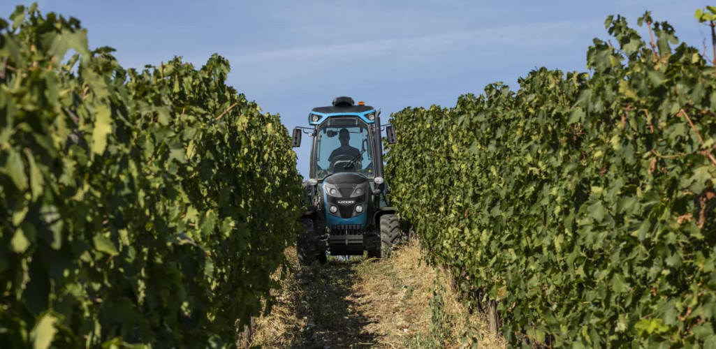 LA_RP5D_REX4_Field_Render_Frescobaldi_002