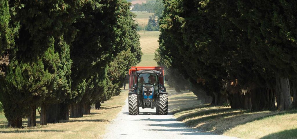 TRACTOR LANDINI LOYMA