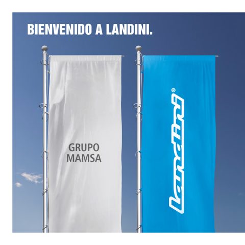 Grupo Mamsa distribuidor Landini