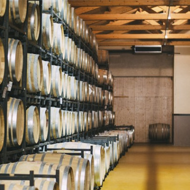 Barriles y bodega