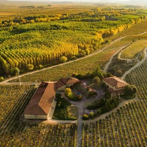 Bodegas Amézola de la Mora