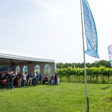 Argo_Tractors__DSF1325