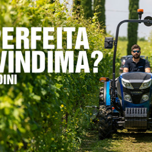 LANDINI, AJUDA PERFEITA PARA A VINDIMA