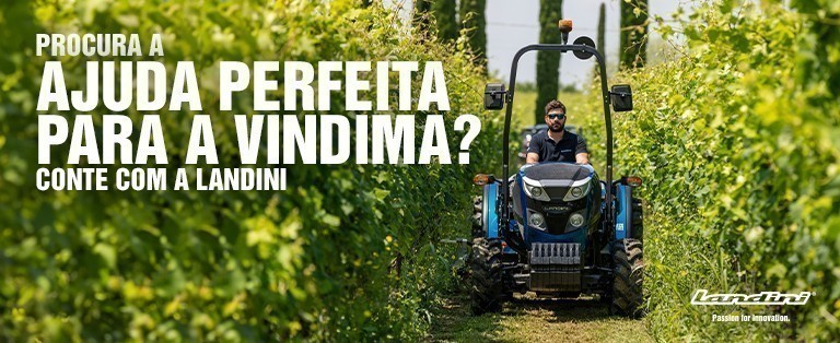 LANDINI, AJUDA PERFEITA PARA A VINDIMA