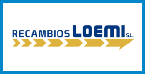 RECAMBIOS LOEMI